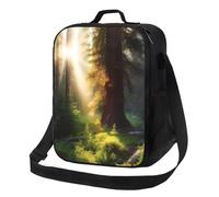 Borsa termica per il pranzo, per donne e uomini, con luce del sole mattutino nel deserto, riutilizzabile, a prova di perdite, con tracolla regolabile, per lavoro, viaggi, attività all'aperto