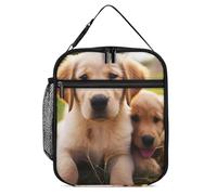 Borsa termica per il pranzo, per donne e uomini, con simpatico golden retriever, riutilizzabile, per ufficio e campeggio