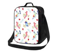 Borsa termica per il pranzo per donne e uomini, da lavoro, colore astratto, simpatico pappagallo, per adulti, per donne e uomini, morbida borsa termica isolata, piccola borsa per il pranzo con