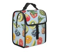 Borsa termica per il pranzo per donne e uomini, diversi tipi di frutta, borse per il pranzo per il lavoro