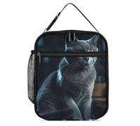 Borsa termica per il pranzo per donne e uomini, riutilizzabile, borsa per il pranzo con gatto seduto al buio, contenitore per il pranzo per ufficio