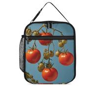 Borsa termica per il pranzo, per donne e uomini, riutilizzabile, con pomodori maturi, borsa per il pranzo per il lavoro e picnic