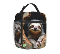 Borsa termica per il pranzo, per donne, per uomini, per adulti, con bradipo che fa capolino dal buco nel tronco dell'albero, riutilizzabile, portatile, per ufficio, viaggi, lavoro, picnic, campeggio,