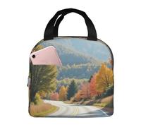 Borsa termica per il pranzo, per donne, per uomini, per adulti, per strade tortuose, in mezzo alle montagne, riutilizzabile, portatile, per ufficio, viaggi, lavoro, picnic, campeggio, borsa termica a