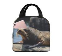 Borsa termica per il pranzo per uomini e donne adulti riutilizzabile Lunch Box marrone Seal on the Rock Borsa termica a tenuta stagna grande capacità contenitori per il pranzo per ufficio lavoro