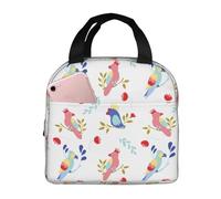 Borsa termica per il pranzo per uomini e donne, da lavoro, colore astratto con simpatico pappagallo, piccola scatola per il pranzo per adulti per uomini e donne, borsa termica morbida impermeabile per
