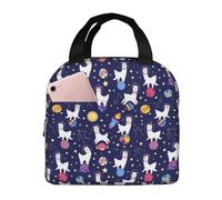 Borsa termica per il pranzo per uomini e donne, da lavoro, con cielo stellato e alpaca e pianeta, morbida, piccola, per adulti, unisex, alla moda, isolata per viaggi, borsa per il pranzo per donne e