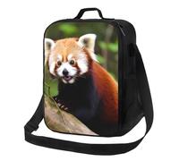 Borsa termica per il pranzo per uomini e donne, piccolo panda rosso, per ufficio, lavoro, picnic, a prova di perdite, con tracolla, per adulti, borsa riutilizzabile per il pranzo