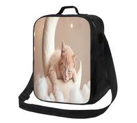 Borsa termica per il pranzo, riutilizzabile, portatile, a forma di gattino che dorme sulla luna, con tracolla, divertente borsa termica per il pranzo, per ufficio, viaggi, lavoro, picnic, campeggio