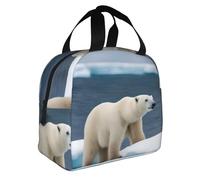 Borsa termica pieghevole per il pranzo, con stampa di orso polare, pasti, snack, bevande, ragazzi, ragazze, adolescenti, picnic