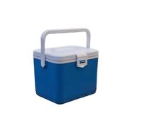 Borsa termica rigida Dispositivo di raffreddamento del ghiaccio portatile con guscio rigido