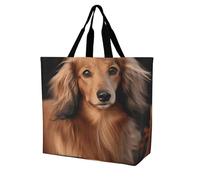 Borsa Tote Long Haired Dachshund Borsa A Mano Con Manici Lavabile Tracolla, Per Shopping, Scuola, Donna, 50x40cm
