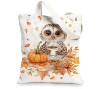 Borse di totalizzatore della tela del gufo, borse della drogheria riutilizzabili del modello animale sveglio, tela lavabile leggera rustica di autunno della cinghia della, bianco, 13x15 Inch