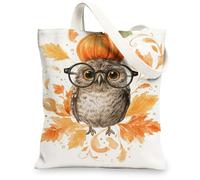 Borse di totalizzatore della tela del gufo, borse della drogheria riutilizzabili del modello dell'uccello sveglio, tela leggera lavabile della cinghia della spalla della tela B di, bianco, 13x15 Inch