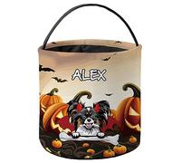 Borse per Feste di Halloween Papillion Dog Borse Zucche Banchetti