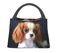 Borse per Il Pranzo Isolate Personalizzate Little Cavalier King Charles Spaniel per Pet Dog Portable Thermal Cooler Food Lunch Box