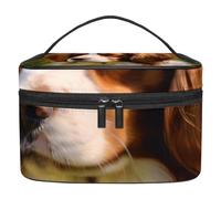 Borse per il trucco da donna,borsa da toilette per uomo,cane cavalier king charles,borsa per cosmetici da viaggio