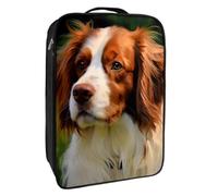 Borse per scarpe da viaggio per l'imballaggio,Borsa da viaggio per scarpe,cane cavalier king charles