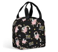 Borse termiche portatili isolate con tasche frontali, a prova di perdite. Contenitori per il pranzo con simpatici maialini "I Didnt My Blew You A Kiss" per campeggio, escursionismo e picnic in famigli