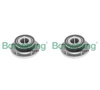 Borsehung 2x Cuscinetto Ruota Mozzo Dietro per Skoda Roomster Rapido Spaceback