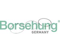 Borsehung B10368 Kit fasce elastiche per AUDI,SEAT,SKODA,VW