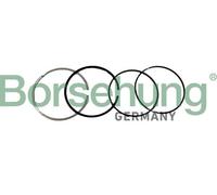 Borsehung B10371 Kit fasce elastiche per BMW,MINI