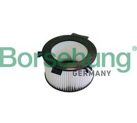 Borsehung B10549 Filtro, Aria abitacolo per VW