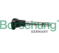 Borsehung B10691 Bobina d'accensione per AUDI,SEAT,SKODA,VW