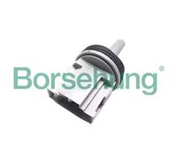 Borsehung B11448 Sensore, Temperatura abitacolo