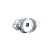Borsehung B12237 Supporto ammortizzatore