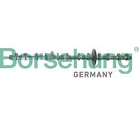 Borsehung B12296 Albero eccentrico, regolazione albero a camme per BMW
