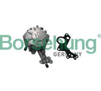 Borsehung B14919 Pompa depressione, Sistema frenante per AUDI,SEAT,SKODA,VW