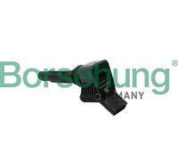 Borsehung B15118 Bobina d'accensione per AUDI,SEAT,SKODA,VW