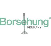 Borsehung B19004 Valvola di scarico per VW TIGUAN (5N) Passat Limousine (3C2)
