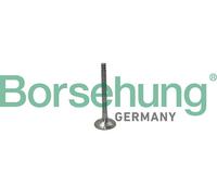 Borsehung B19012 Valvola di scarico per AUDI,SEAT,SKODA,VW
