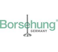 Borsehung B19017 Valvola di aspirazione per AUDI,SEAT,SKODA,VW
