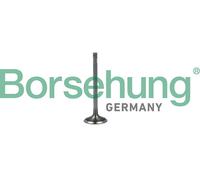 Borsehung B19023 Valvola di aspirazione per AUDI,SEAT,SKODA,VW
