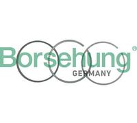 Borsehung B19037 Kit fasce elastiche per VW Golf IV Schrägheck (1J1) POLO (9N)