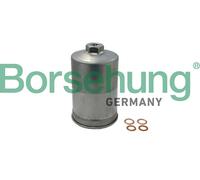 Borsehung B19091 Filtro carburante per AUDI,SEAT,VW