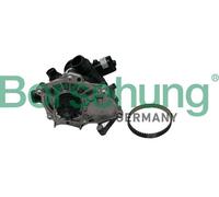 Borsehung B19205 Pompa dell’acqua, raffreddamento motore per AUDI,SEAT,SKODA,VW