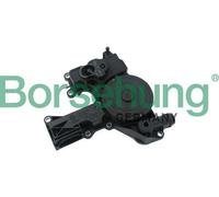 BORSEHUNG Separatore olio Ventilazione monoblocco B18479 per VW GOLF VI (5K1)