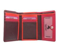 Borsetta in Pelle Visconti Rainbow Collezione BIOLA Blocco RFID RB39 Prugna Multi