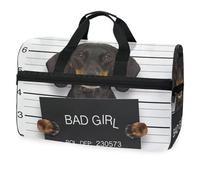 Borsone da viaggio con cane bassotto divertente per uomini, donne, ragazzi e adolescenti, borsa da palestra oversize con scomparto per scarpe durante la notte, fine settimana, yoga, allenamento, borsa