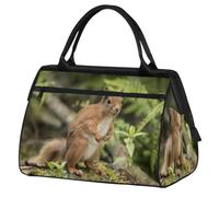 Borsone da viaggio per donne, uomini, bambini, ragazzi, ragazze, 24 l, borsa da fine settimana, sport, palestra, viaggi, weekend, borsa da viaggio con scoiattolo carino animale, Colore, XXL, Organizer