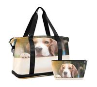 Borsone sportivo da viaggio, borsone da viaggio con tasca bagnata, scomparto per scarpe e articoli da toeletta, cani Beagle sono alla ricerca di donne e uomini, Multi