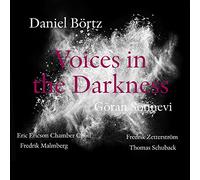 Bortz/ Sonnevi/ Malmberg/ Zetterstrom - Daniel Bortz: Voices In The Darkness