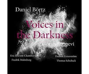 Bortz/ Sonnevi/ Malmberg/ Zetterstrom - Daniel Bortz: Voices In The Darkness