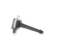 BOSCH 0 221 604 014 Bobina d'accensione per RENAULT LAGUNA III (BT0/1)