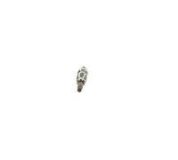 BOSCH 0 250 201 055 Candeletta
