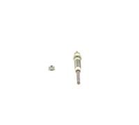 BOSCH 0 250 202 096 Candeletta